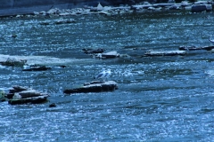 20120610 (10)