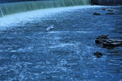20120610 (12)