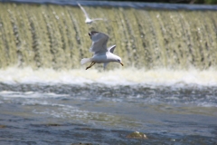 20120610 (24)