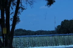 20120610 (3)
