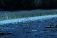 20120610 (4)