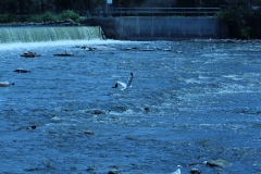 20120610 (5)